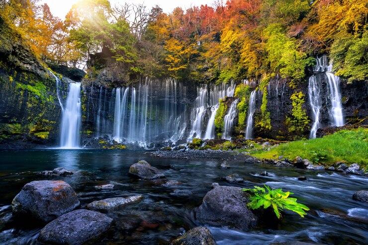 Nature & Environment